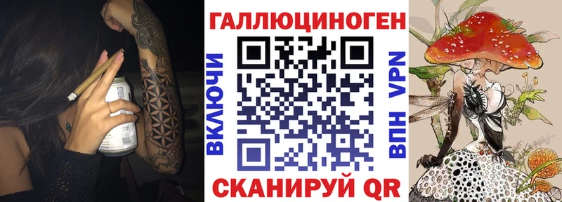 Галлюциногенные грибы Psilocybe  Щёлкино 